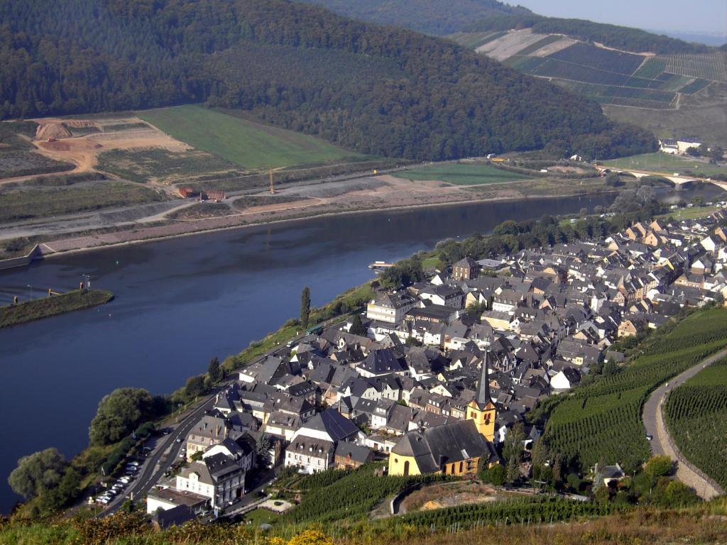 Weinstube Pension Moselbluemchen Цельтинген-Рахтиг Экстерьер фото
