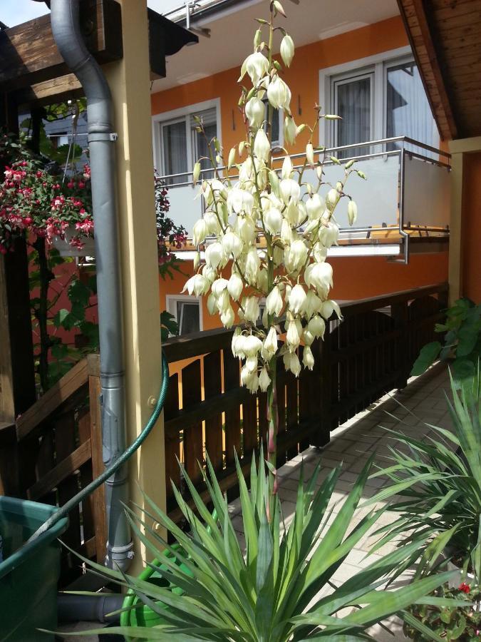Weinstube Pension Moselbluemchen Цельтинген-Рахтиг Экстерьер фото
